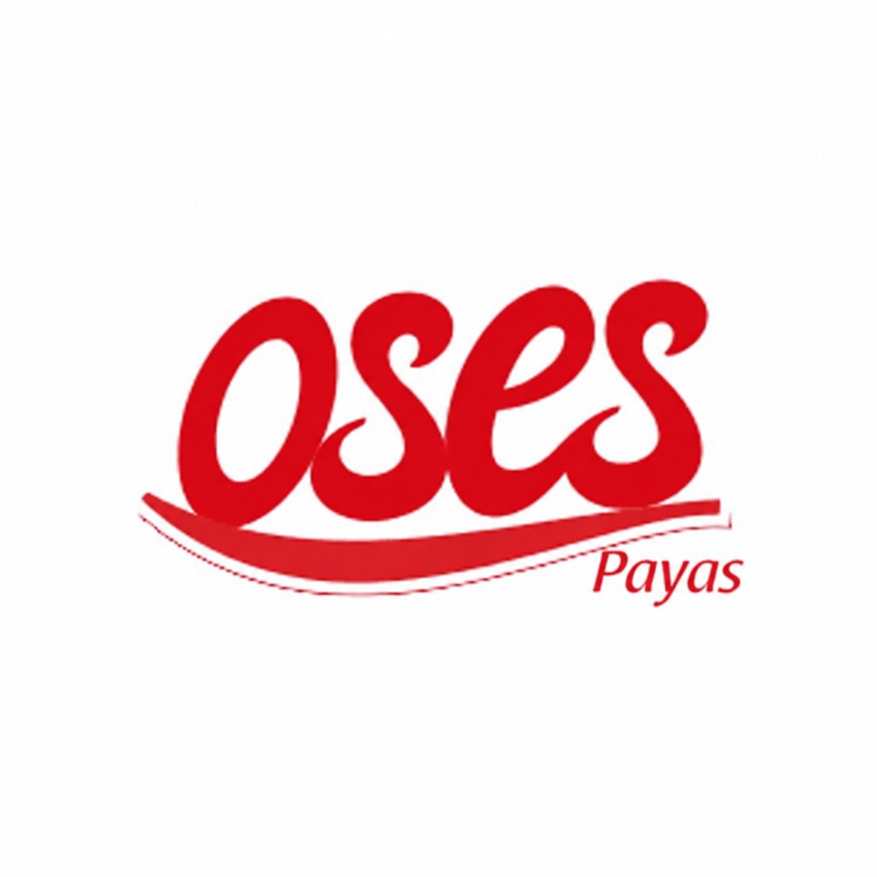 O ses payas logosu
